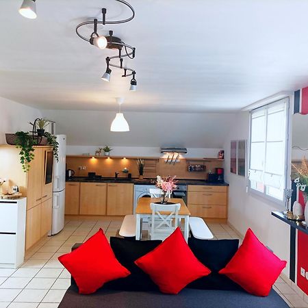 Apartament Le Duplex Decontracte Fleury-les-Aubrais Zewnętrze zdjęcie