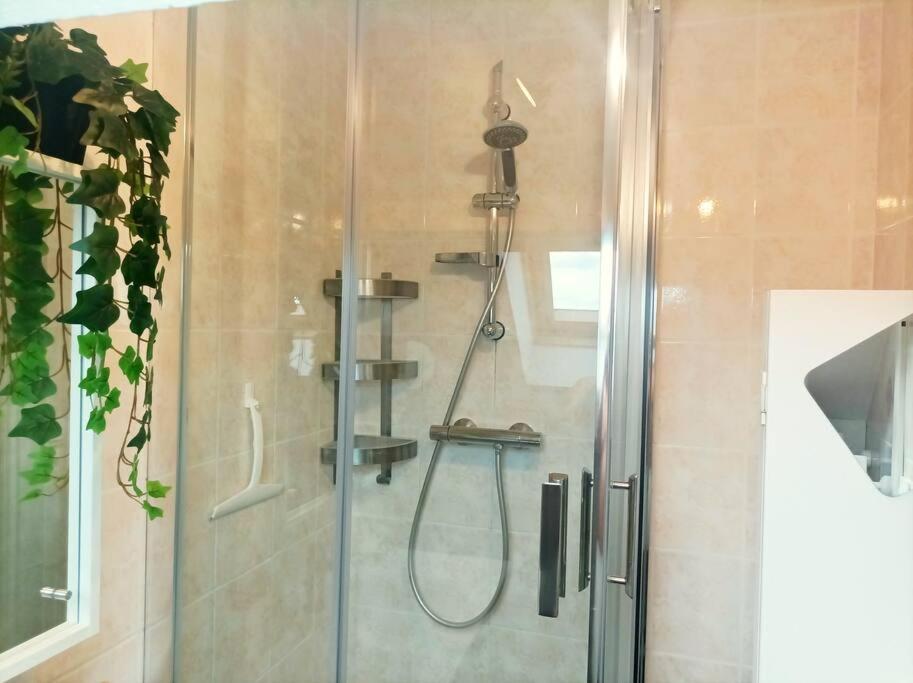 Apartament Le Duplex Decontracte Fleury-les-Aubrais Zewnętrze zdjęcie