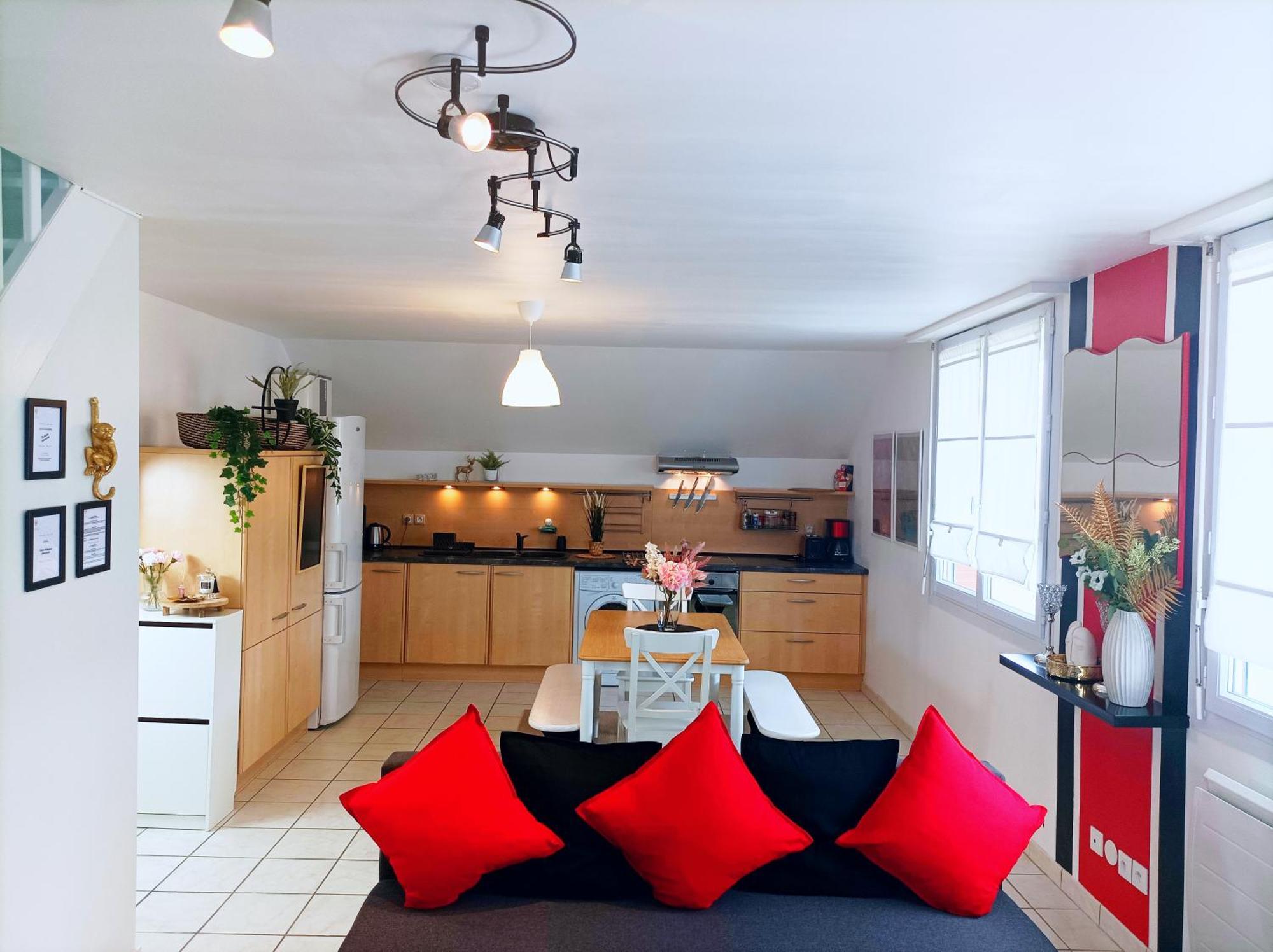 Apartament Le Duplex Decontracte Fleury-les-Aubrais Zewnętrze zdjęcie